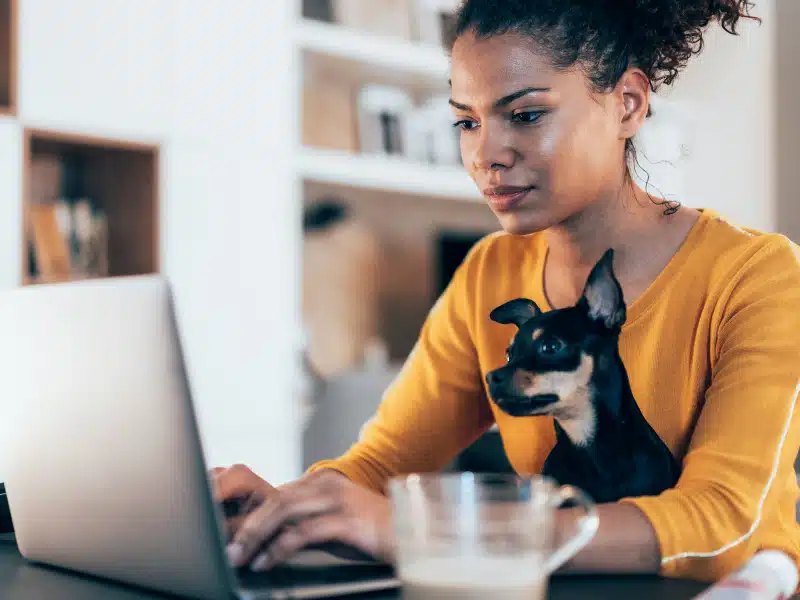 BLOG FORASTEIRO ONLINE - Trabalhar em casa 20 ideias para ter uma renda extra.