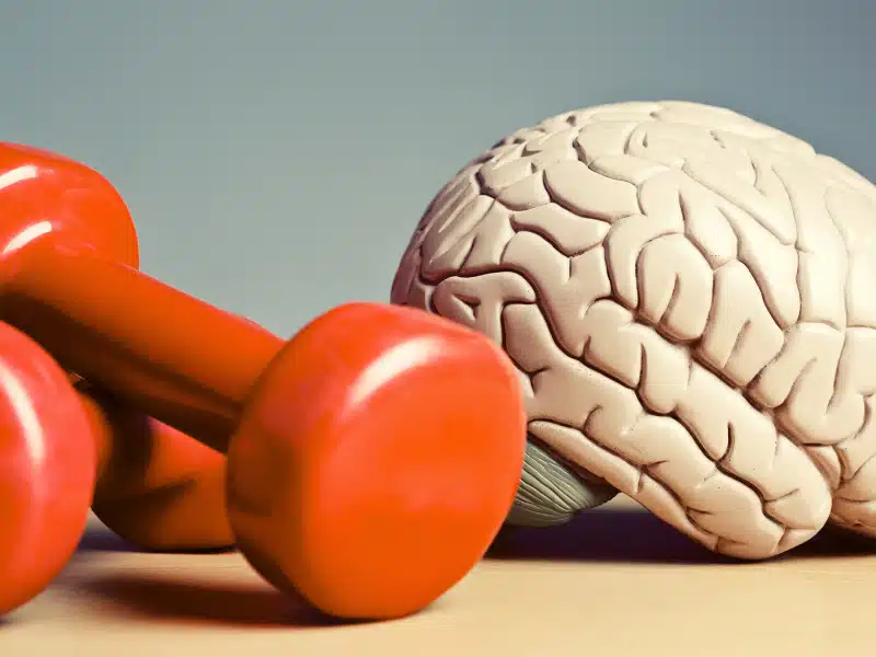 BLOG FORASTEIRO ONLINE - Saúde Física e Mental como equilibrar e ser um Empreendedor De Sucesso.