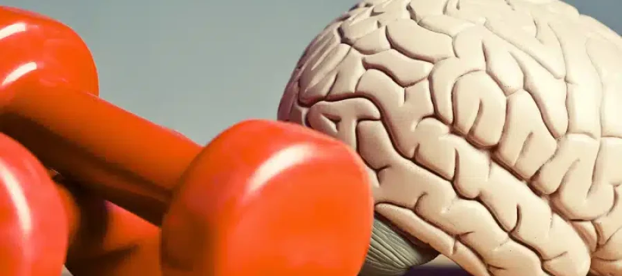 BLOG FORASTEIRO ONLINE - Saúde Física e Mental como equilibrar e ser um Empreendedor De Sucesso.